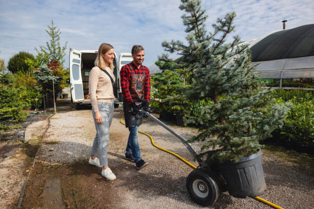 Best Leaf Removal  in Glen Cove, NY